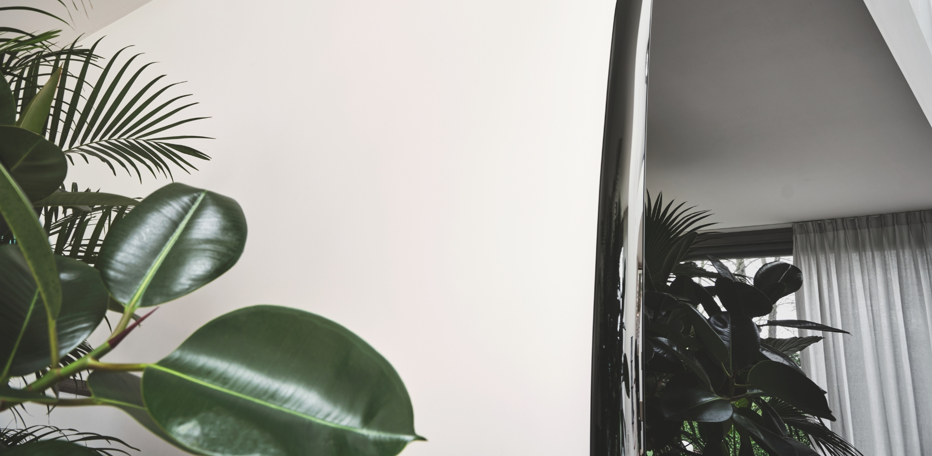 complementos - CS5151-G COLETTE